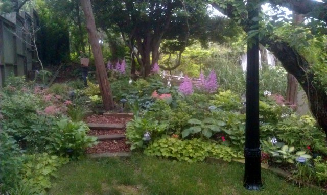 Two years ago, this was nothing but weeds, the wooden edges had all floated away, and we truly had no idea what, if anything, had survived the flood, so you can imagine just how grateful we are for such a bountiful and beautiful resurgence of our gardens. There were so many photos to choose from, and there will be more...