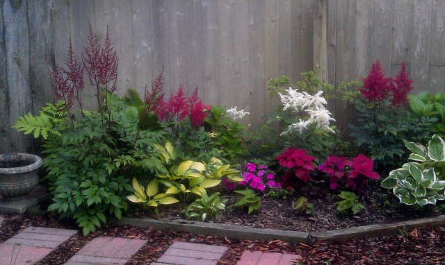 All new since the flood and very much in the shade with astilbes, hydrangeas, hostas, coleuses, and you can see the start of three begonias coming along at the front.