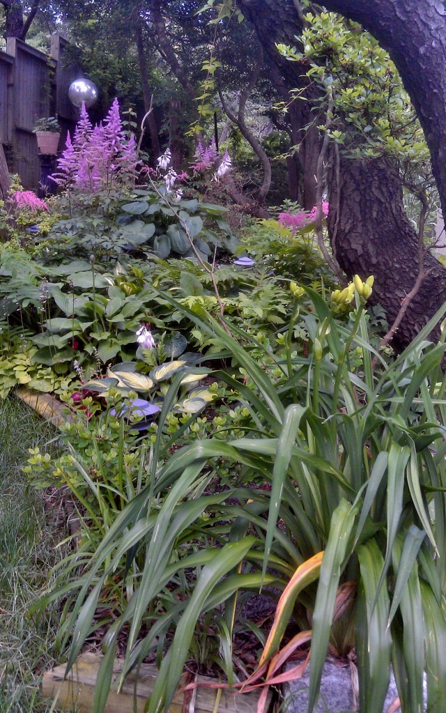 The first of several views from the lower garden.