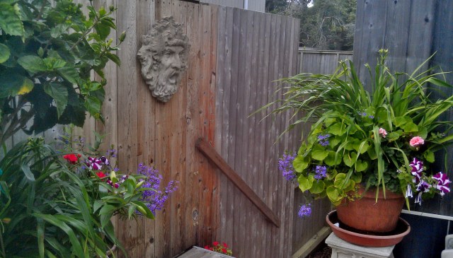 And look! There! Is that a stair? Where does it go, I wonder?