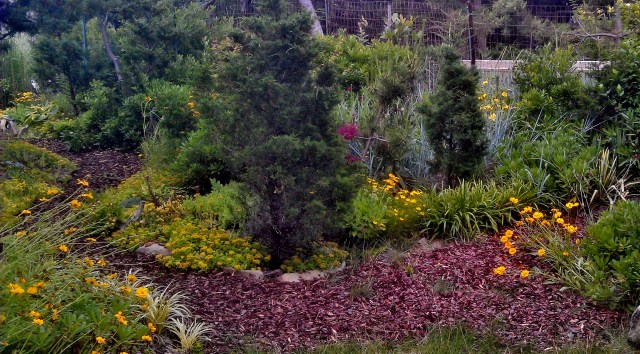 Sorry, you'll have to ask Richard what all this stuff is, but I think it's beautiful. 