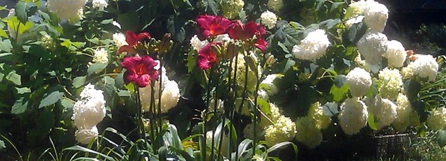 43) Roll, Tide, Roll! 