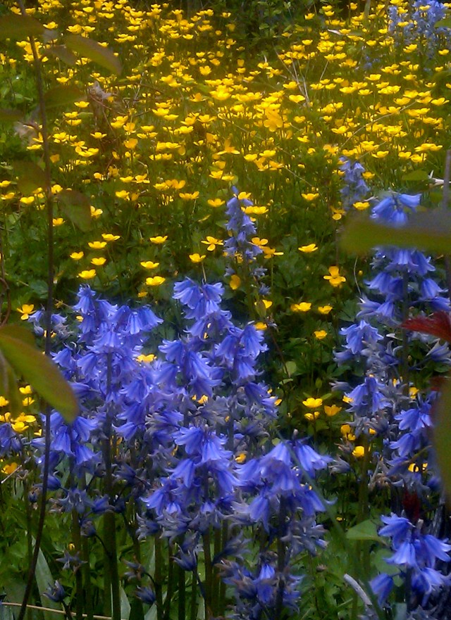 27126271332_f27936d8eb_o