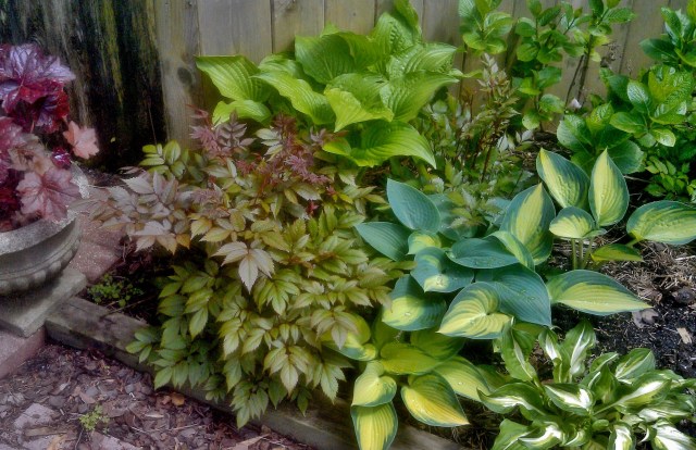 27155282661_6ce6728a1e_o