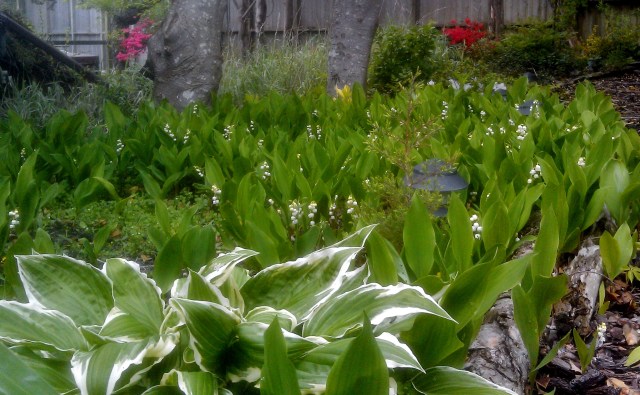 27223212275_bb2eef3583_o