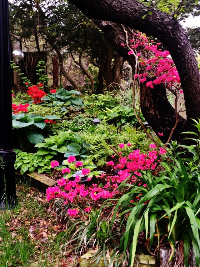 Photo May 21, 11 46 34 AM