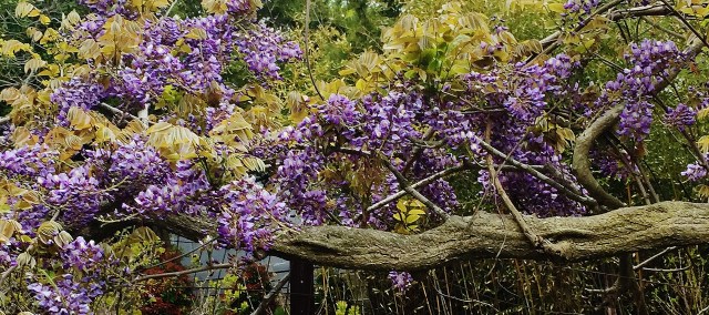 Photo May 21, 11 54 26 AM