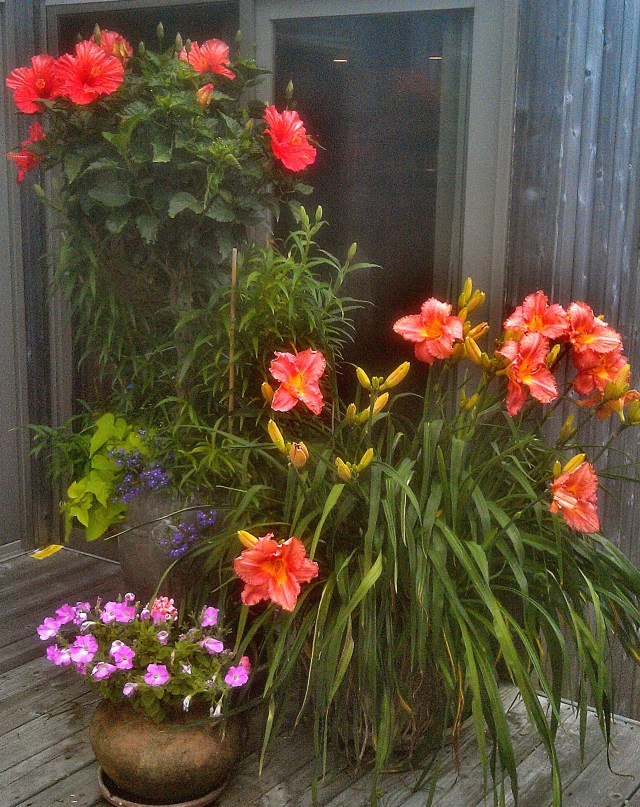 27943197960_0978cdf23d_o