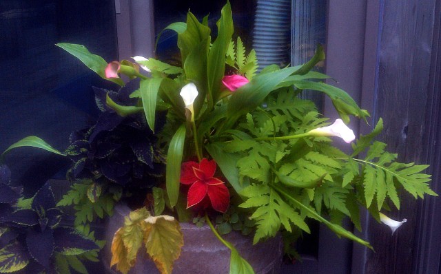 28553233910_b5d1d6eb44_o