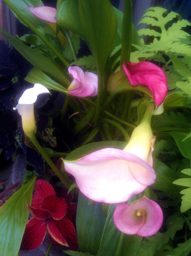 28761570751_e7eeef5536_o