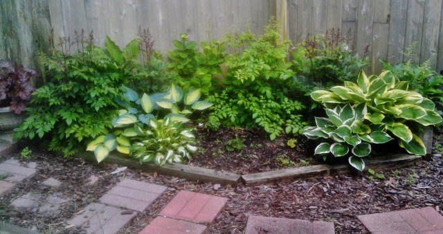 27568913412_b17a1c9ba6_o