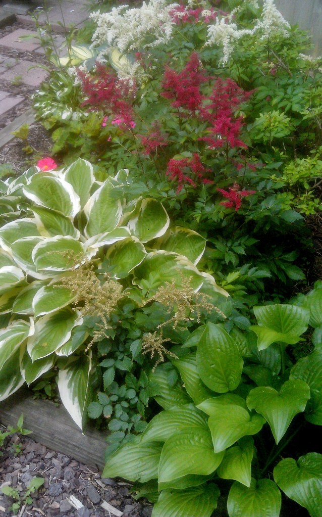 27608407844_9a8742e870_o