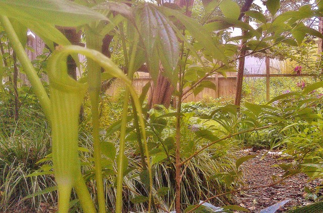 27616744422_6d7e9c8d6a_o