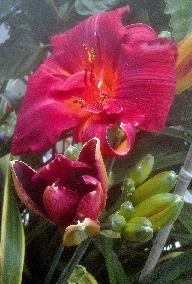 27616746244_01cfe49dde_o-2