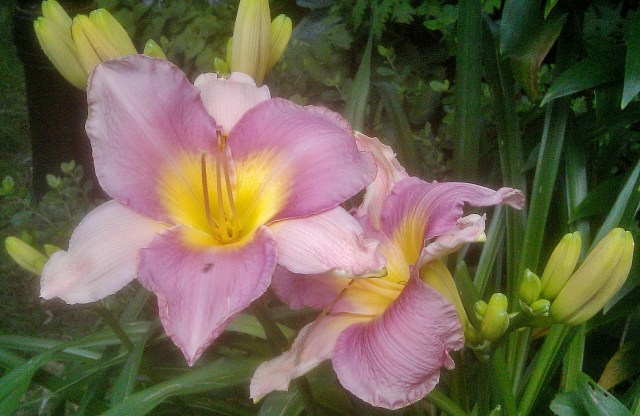 27635241743_5a93634381_o