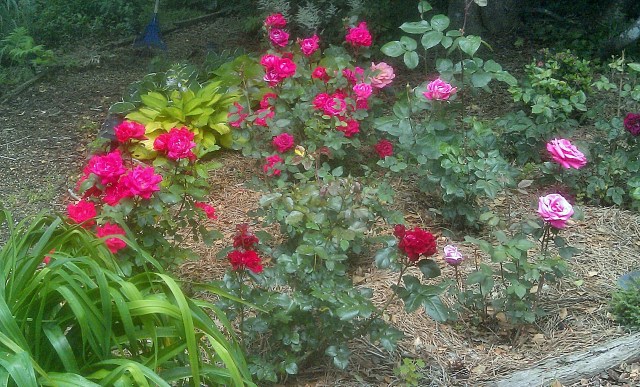 27683405466_d1a5ae4eb3_o