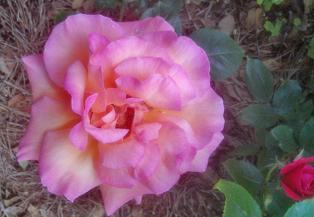 27683451616_49fd18a42d_o