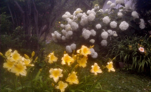 27951418560_6ac0d740ab_o