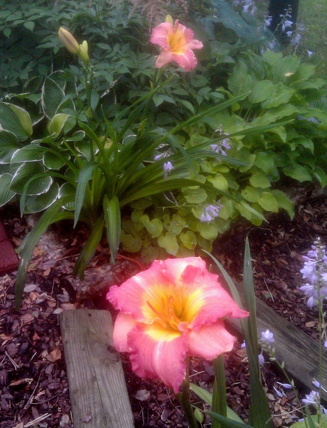 28028611990_f2a04c06d9_o