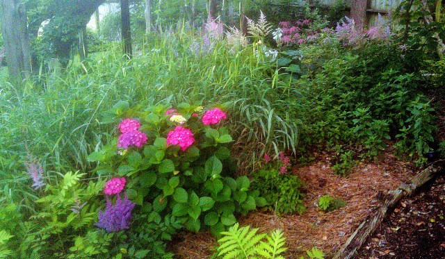 28120366552_89efbf387c_o