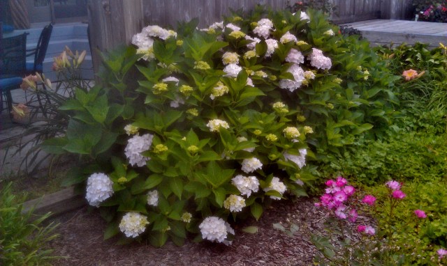 28120443312_85b1eeb7dd_o