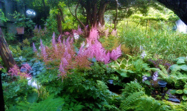 28146584281_5a2de37673_o