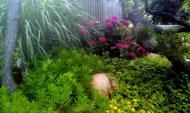 28146760301_f58637633e_o