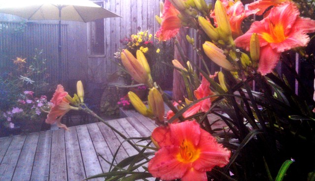 28190319206_7a5be017dc_o