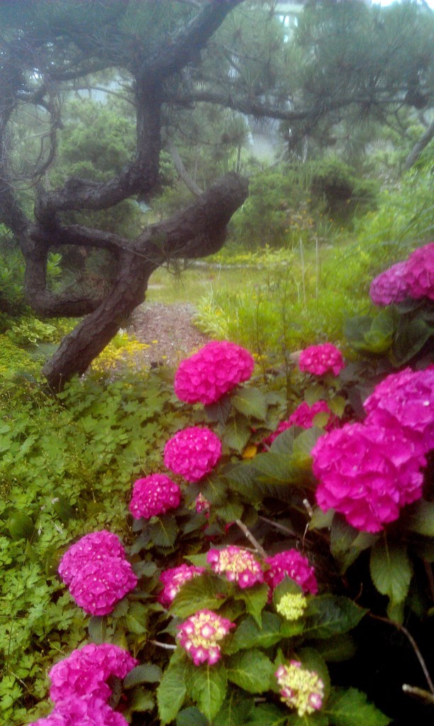 28190384536_3d2341bb94_o