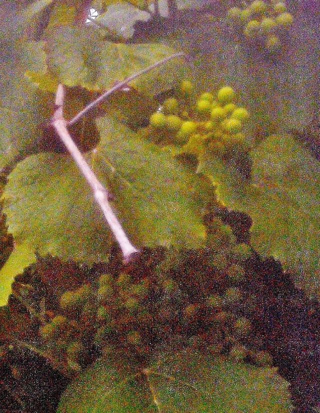 28190461586_9ed1a4540f_o