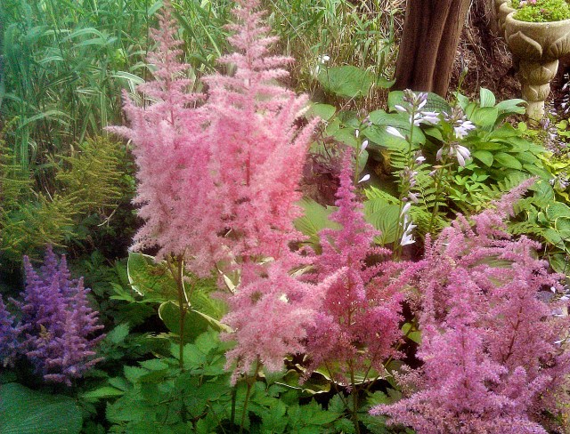 28198351286_ca0a766d8e_o