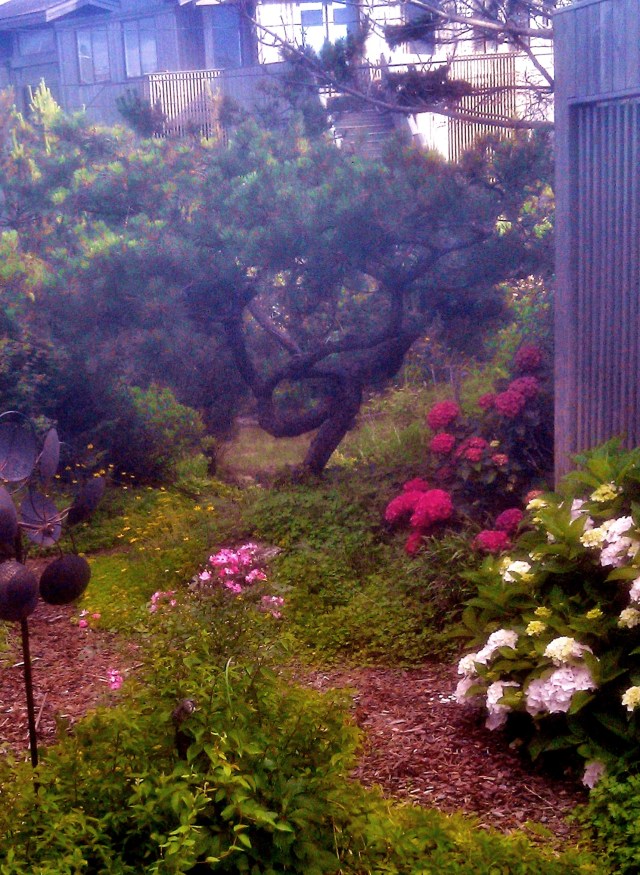 28198454966_5c54103d38_o