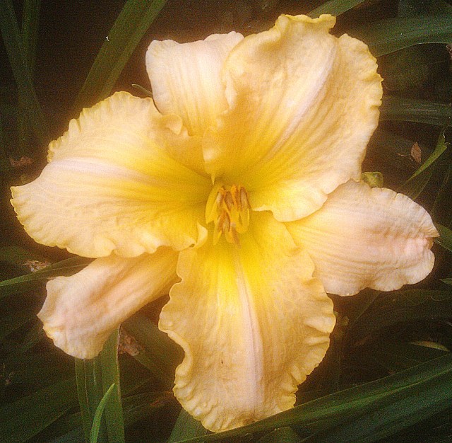 28206170762_d468455255_o