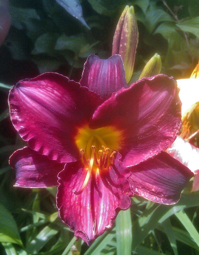 28216799506_f664ea213e_o