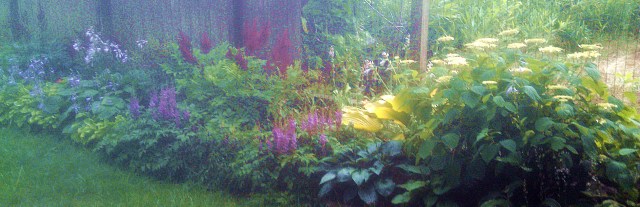 28220062864_3e4de0388a_o