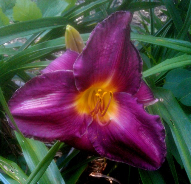 28243040526_bf02931683_o