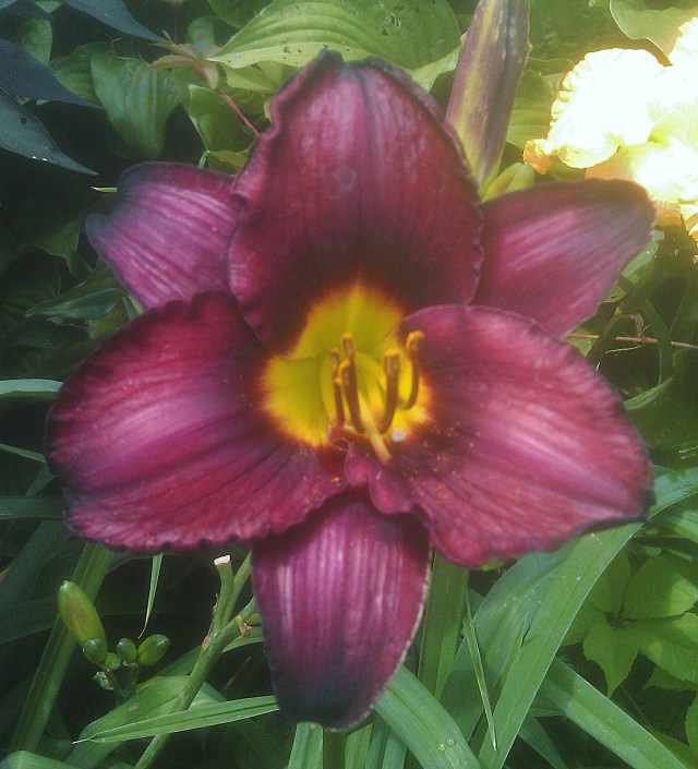 28259139191_b59f646939_o