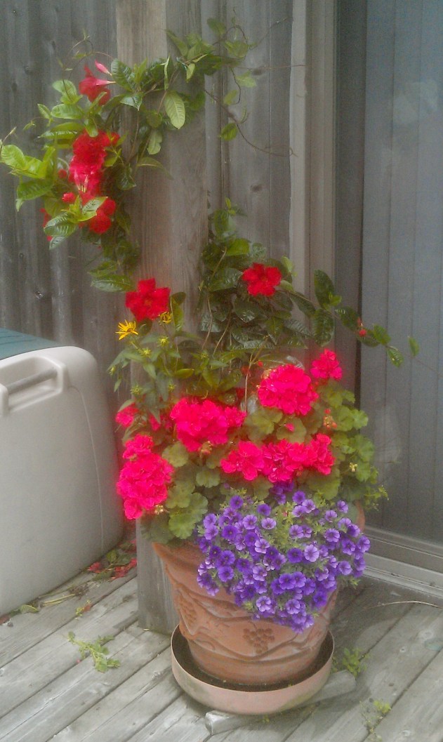 28276075746_021ca2cb3a_o