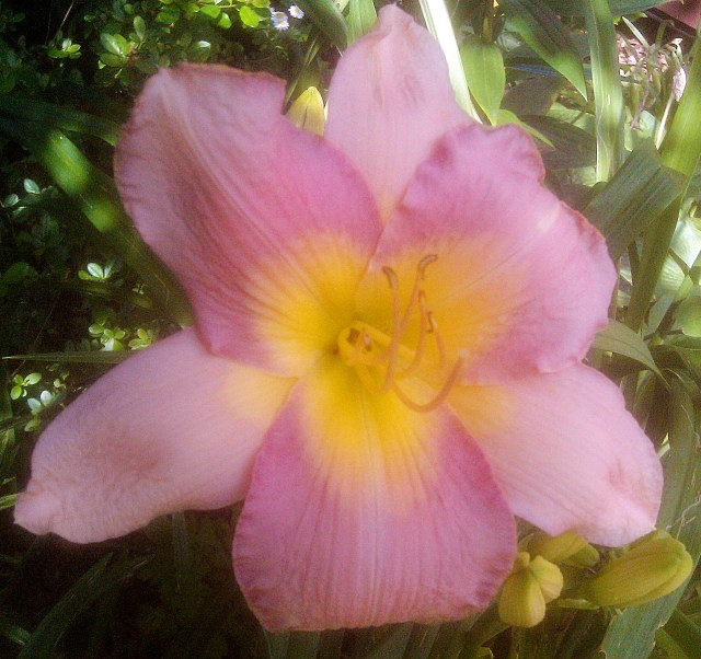 28297082845_456944b43f_o