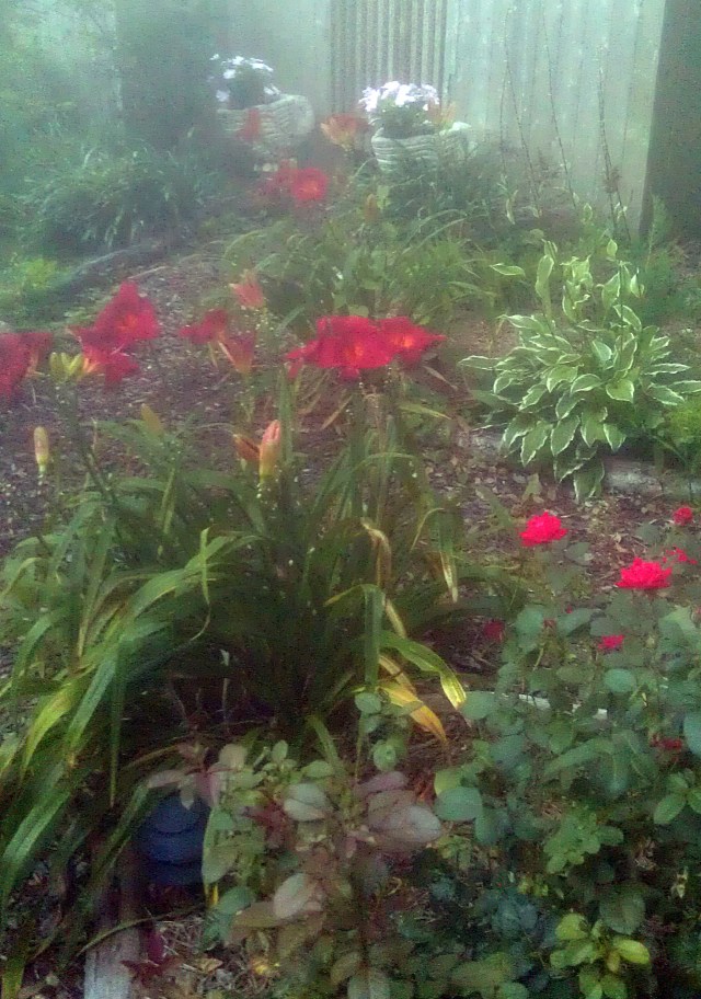 28553659610_f71dd910a0_o