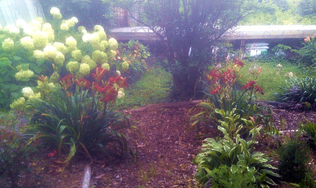 28732702062_c810abdb16_o