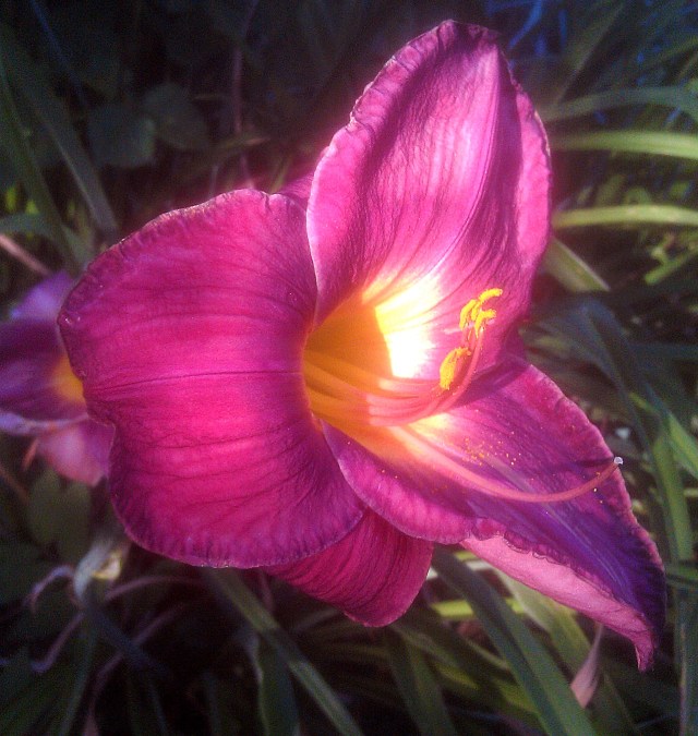 28732751012_08474e7829_o