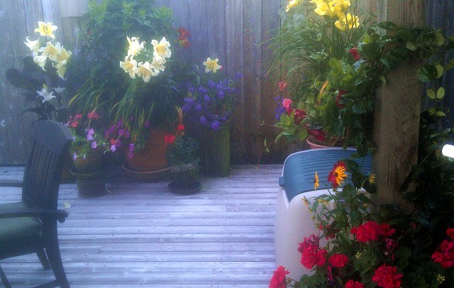 28754196491_5821e62666_o