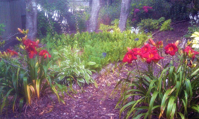 28806218606_a789512879_o