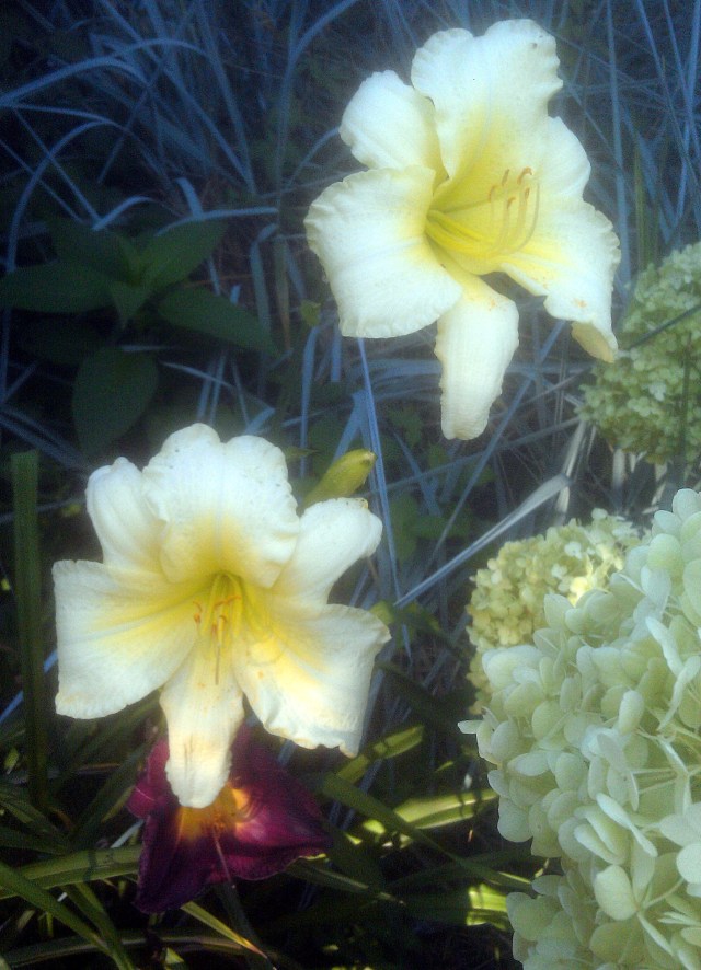 28837476135_2d5130fdae_o